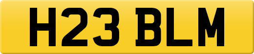 H23BLM