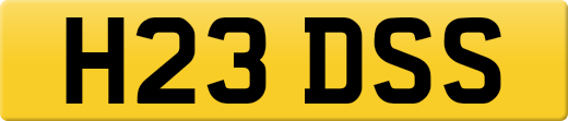 H23DSS