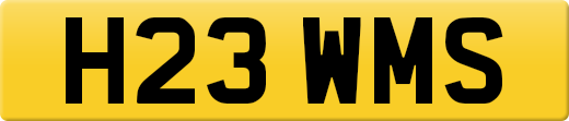 H23WMS