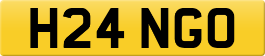 H24NGO