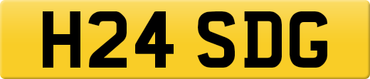 H24SDG