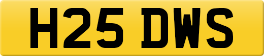 H25DWS