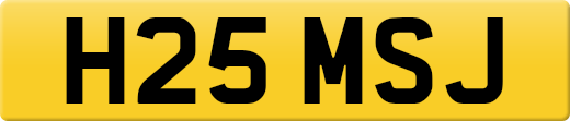 H25MSJ