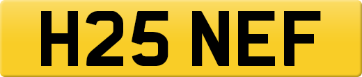 H25NEF