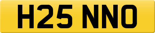 H25NNO