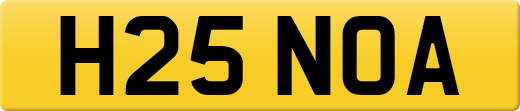 H25NOA
