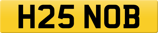 H25NOB
