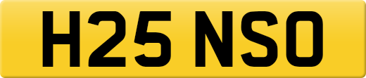 H25NSO