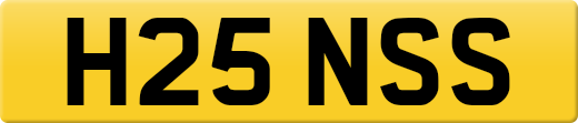 H25NSS