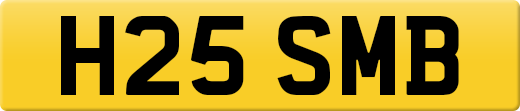 H25SMB