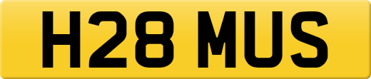 H28MUS