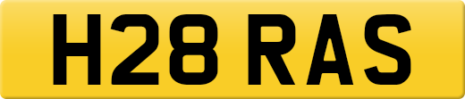 H28RAS