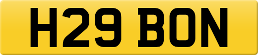 H29BON