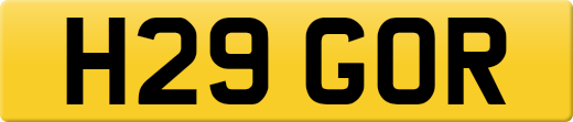 H29GOR