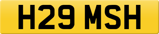 H29MSH