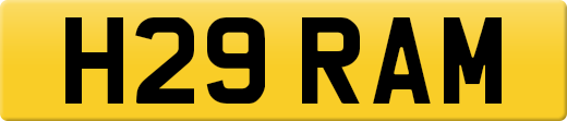 H29RAM