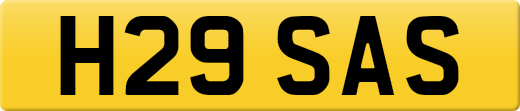 H29SAS