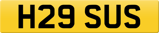 H29SUS