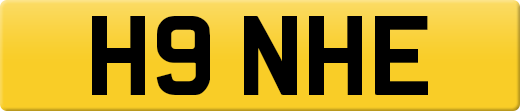 H9NHE