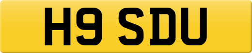 H9SDU