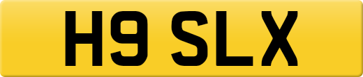 H9SLX