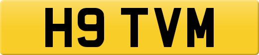 H9TVM