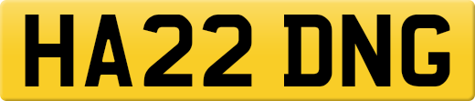 HA22DNG
