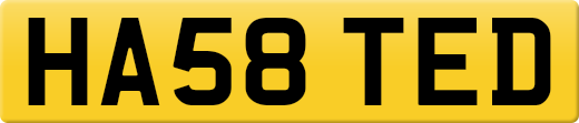 HA58TED