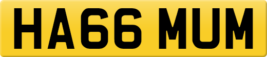 HA66MUM