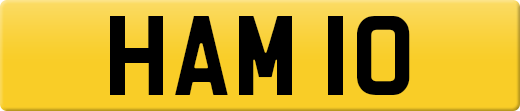 HAM10