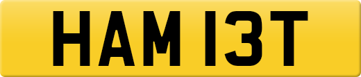 HAM13T