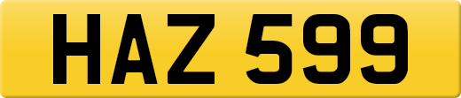 HAZ599