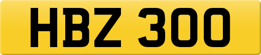 HBZ300