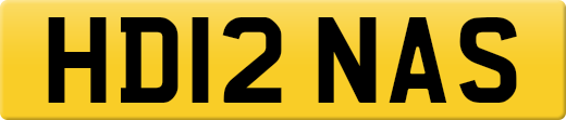 HD12NAS