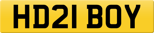 HD21BOY