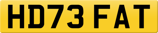 HD73FAT
