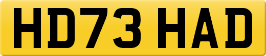HD73HAD