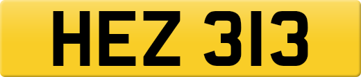 HEZ313