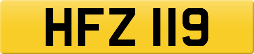 HFZ119