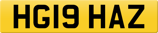 HG19HAZ