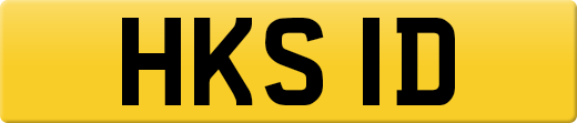 HKS1D