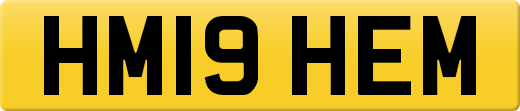 HM19HEM