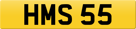 HMS55