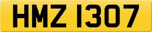 HMZ1307