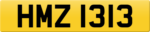 HMZ1313