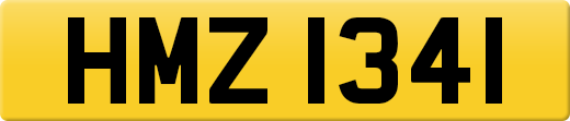 HMZ1341