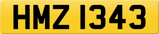 HMZ1343