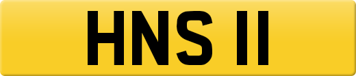 HNS11