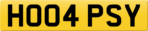 HO04PSY