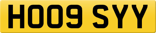 HO09SYY